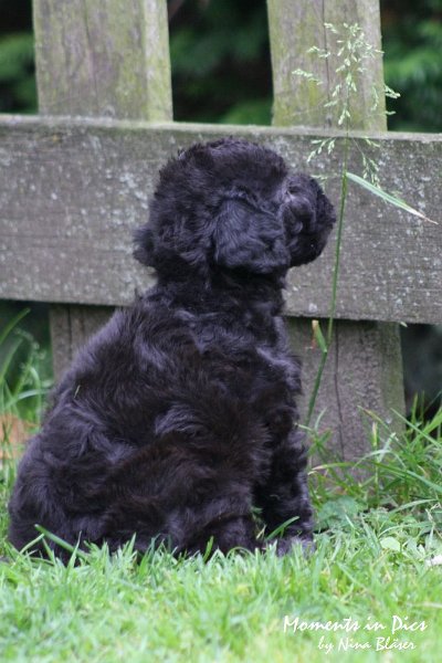 Arc-en-ciel Antares 2009-06-17 (8).JPG